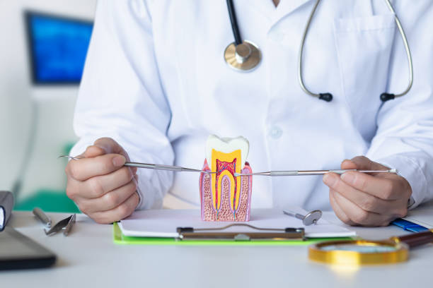 Best Emergency Dental Care for Broken or Chipped Teeth in Juniper Canyon, OR